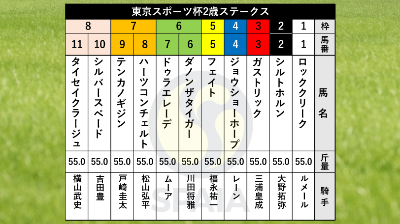 【東スポ杯2歳S枠順】新馬戦8馬身差Vのハーツコンチェルトは7枠8番、福永祐一騎手騎乗フェイトは5枠5番