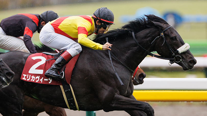 2022年ターコイズSに出走するエリカヴィータ,ⒸSPAIA（撮影：三木俊幸）