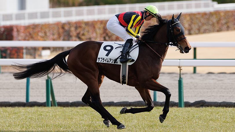 【ターコイズS】合言葉は「とにかく手広く」　サブライムアンセムら穴候補多数の牝馬重賞【動画あり】