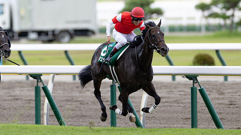 【阪神C】グレナディアガーズまさかの18番！　狙うはロータスランドと内枠だ【動画あり】