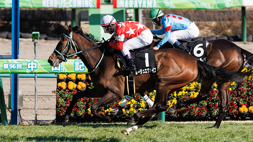 【京成杯・愛知杯】アートハウス、ルージュエヴァイユら好メンバーで今年は波乱なし？【動画あり】