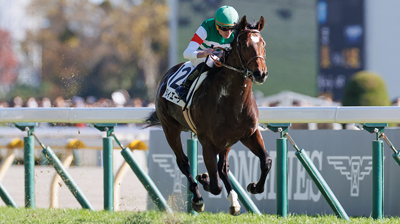 【共同通信杯・京都記念】日本ダービー有力候補！　タスティエーラの新馬戦ラップは超優秀【動画あり】