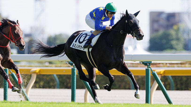 【チューリップ賞・オーシャンS】2戦2勝ルミノメテオール　連勝伸ばしていざ桜花賞！【動画あり】