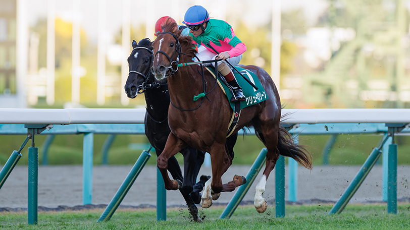 【弥生賞】7年連続馬券絡みの8枠に注目！　グリューネグリーンが記録をつなぐ？【動画あり】