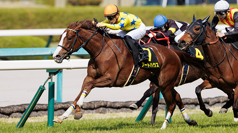 【中山牝馬S】アートハウス重賞連勝なるか　ハンデ、出走間隔、初の1800mなど課題多数【動画あり】