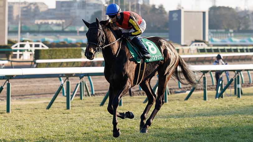 【フィリーズレビュー・中山牝馬S】混戦模様の牝馬重賞　内枠・差しでイコノスタシスの一発だ【動画あり】