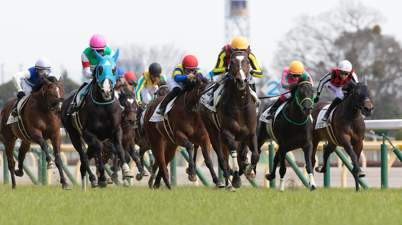 【金鯱賞・フィリーズレビュー】4戦4勝の中京コースで躍動する！　ヤマニンサルバムを本命視【動画あり】