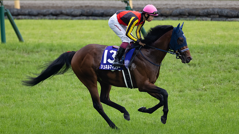 【マイラーズC】「新生京都」の開幕戦！　データからの狙い目は斤量不利馬？【動画あり】