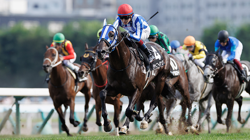 【マイラーズC】シュネルマイスターの復権に期待も、展開と馬場を味方に妙味ある穴馬も推奨！【動画あり】