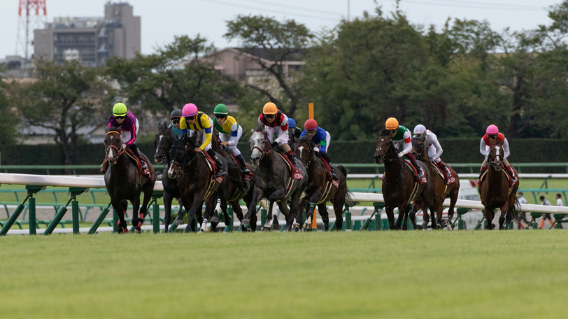 【京都新聞杯・新潟大賞典】複勝率100%の好データを信頼　本命は毎日杯3着ドットクルー【動画あり】