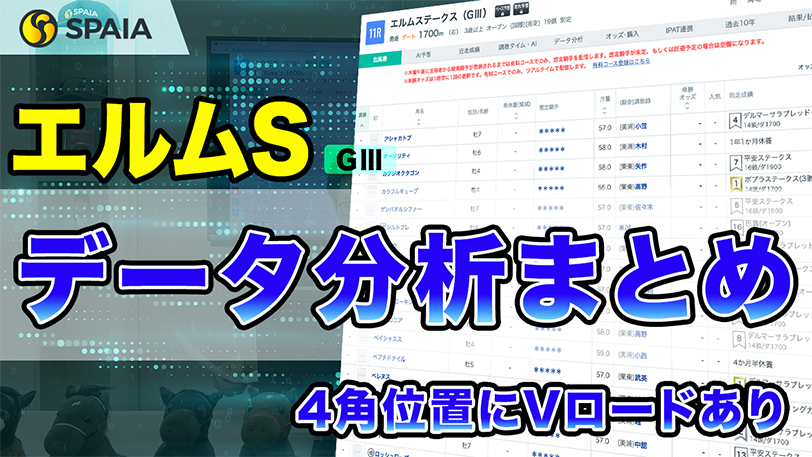 【エルムSデータ分析】連対率50%のラッキー馬番あり　データで徹底分析【動画あり】