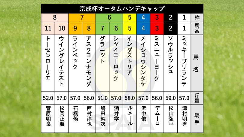 【京成杯AH枠順】トップハンデのソウルラッシュは2枠2番、ダービー卿CT勝ち馬インダストリアは5枠5番