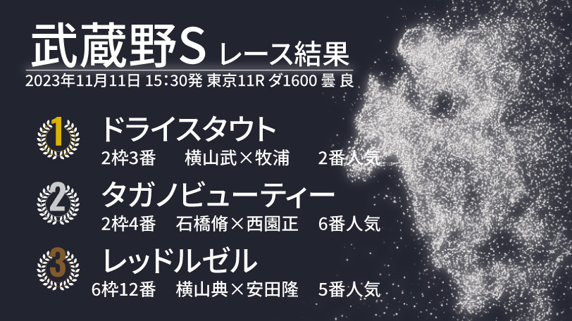 【武蔵野S結果速報】直線半ばで悠々抜け出したドライスタウトが優勝！　2着はタガノビューティー