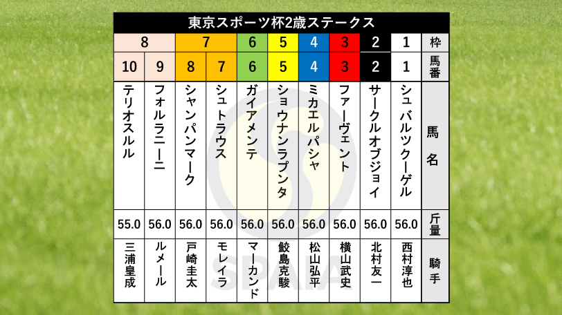 【東スポ杯2歳S枠順】サウジアラビアRC3着のシュトラウスは7枠7番、GⅠ馬の弟シャンパンマークは7枠8番