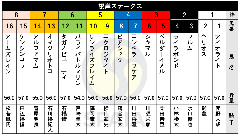 【根岸S枠順】重賞4勝のシャマルは3枠6番、武蔵野S2着のタガノビューティーは6枠12番