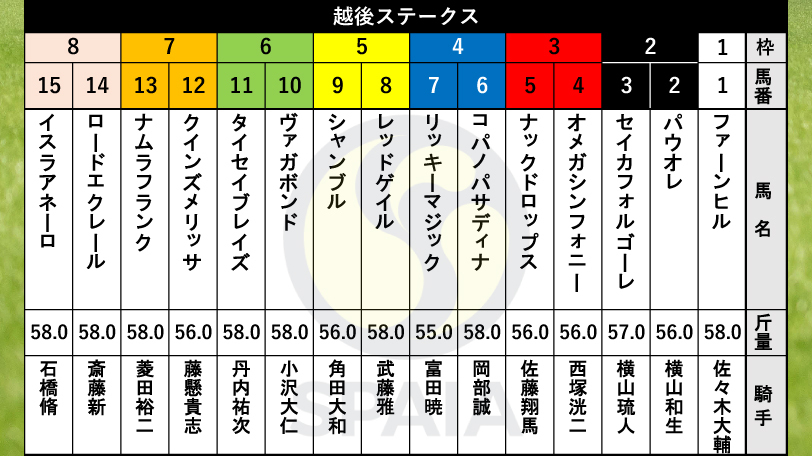 【越後S枠順】勝率トップ2枠にパウオレとセイカフォルゴーレ　複勝率5割超えの8枠にはロードエクレールとイスラアネーロ【AI記事】