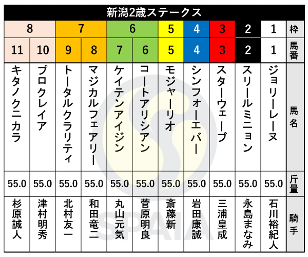 2024年新潟2歳Sの出馬表,ⒸSPAIA