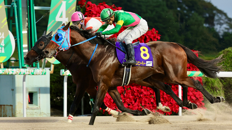 【JBCスプリント結果速報】タガノビューティーがハナ差で悲願のJpnⅠ制覇！　2着は3歳馬のチカッパ