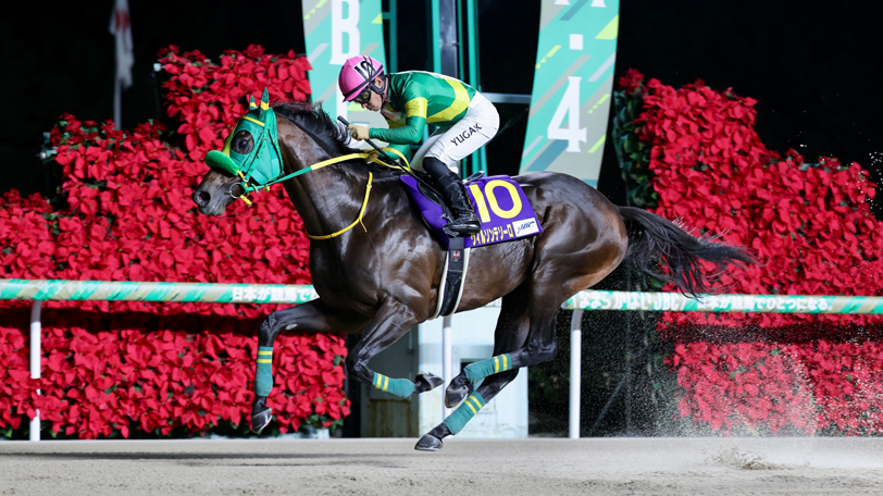 【JBCクラシック結果速報】地元の川田将雅騎手を背にウィルソンテソーロが圧勝！