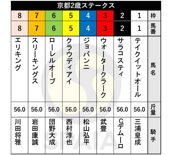 2024年京都2歳Sの出馬表,ⒸSPAIA