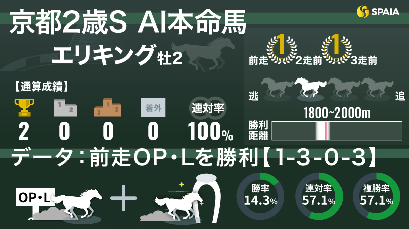 2024年京都2歳ステークス AI本命馬 エリキング,ⒸSPAIA