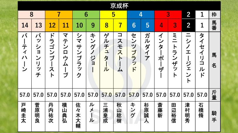 【京成杯枠順】ジャスティンパレスの半弟キングノジョーは6枠9番　Wootton Bassett産駒パーティハーンは8枠14番