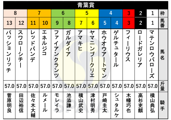 2025年青葉賞の出馬表,ⒸSPAIA
