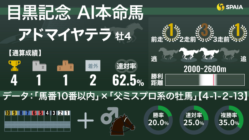 2025年目黒記念 AI本命馬 アドマイヤテラ,ⒸSPAIA