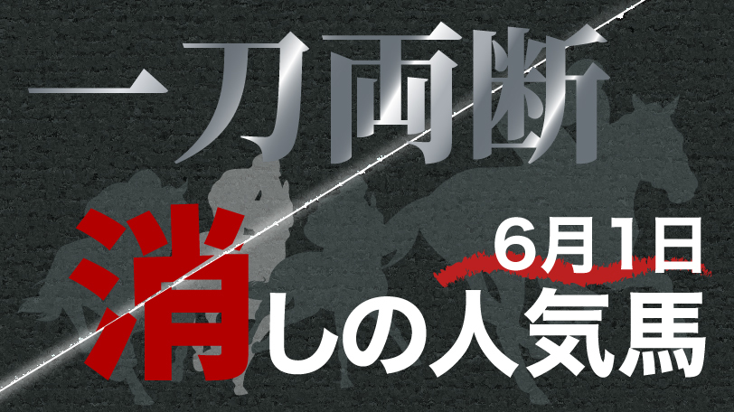 【あす楽対応】 注目2歳馬】東京芝1800mの新馬戦レコードを更新 キタサン コレクション