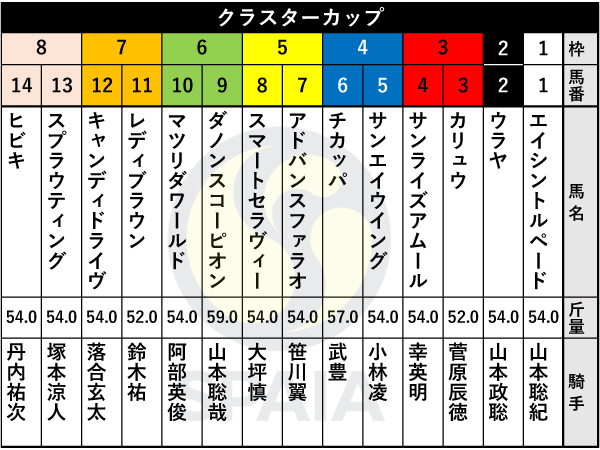 2025年クラスターカップの出馬表,ⒸSPAIA