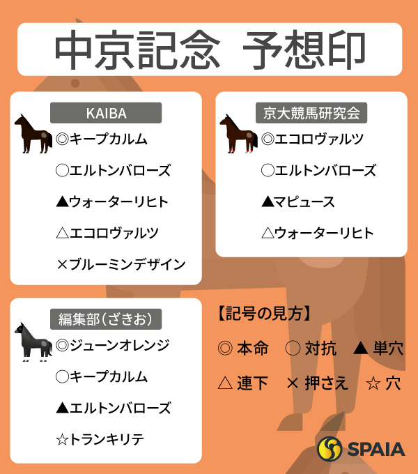 2025年中京記念のSPAIA予想まとめ,ⒸSPAIA