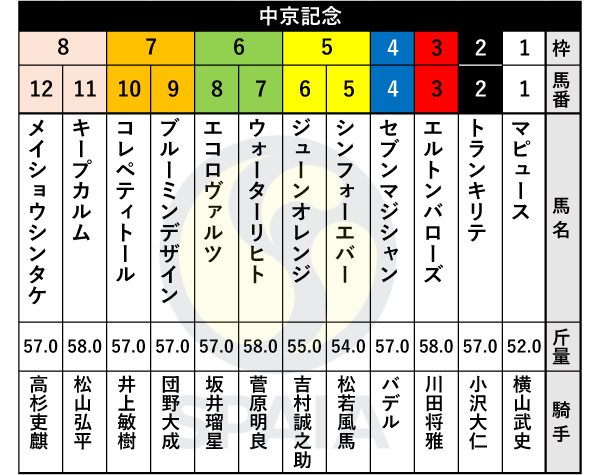 2025年 中京記念の出馬表,ⒸSPAIA