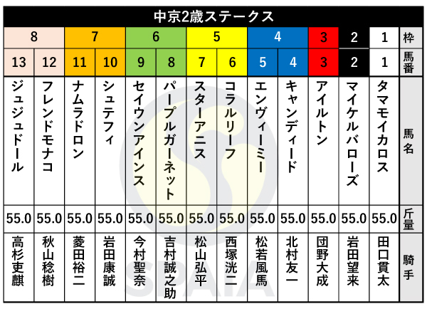 2025年中京2歳Sの出馬表,ⒸSPAIA