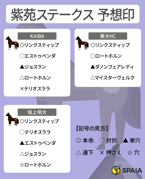 2025年紫苑SのSPAIA予想まとめ,ⒸSPAIA