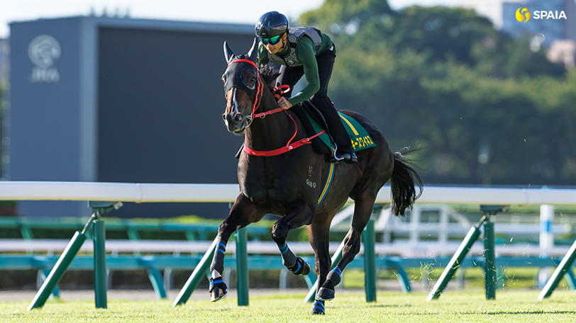 ラッキースワイネス,🄫SPAIA（撮影：三木俊幸）