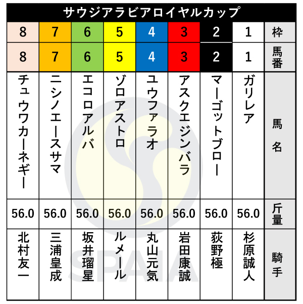 2025年サウジアラビアRCの出馬表,ⒸSPAIA