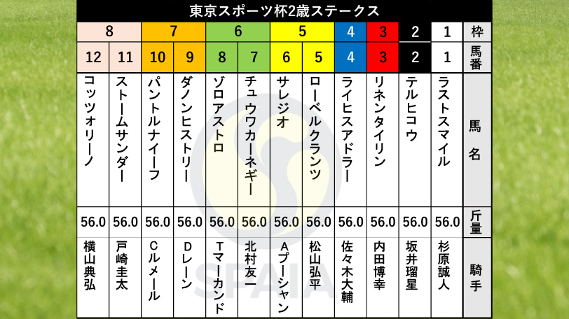 【東京スポーツ杯2歳S枠順】ダノンベルーガの弟ダノンヒストリーは7枠9番　サウジアラビアRC3着ゾロアストロは6枠8番