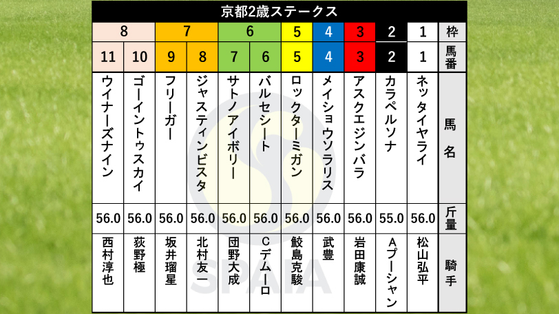 【京都2歳S枠順】GⅠ馬の半弟バルセシートは6枠6番　芙蓉S勝ち馬ウイナーズナインは8枠11番