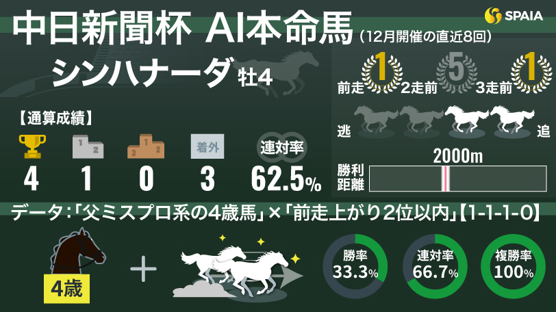 2025年中日新聞杯 AI本命馬シンハナーダ,ⒸSPAIA