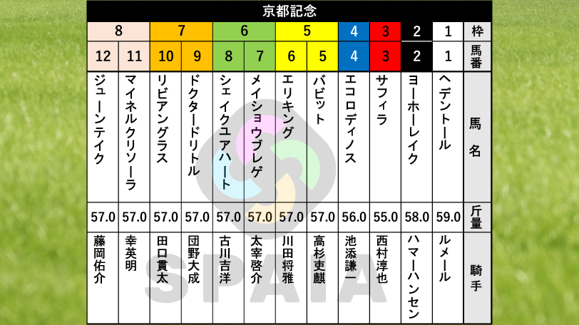【京都記念枠順】菊花賞2着エリキングは5枠6番　天皇賞（春）の覇者ヘデントールは1枠1番