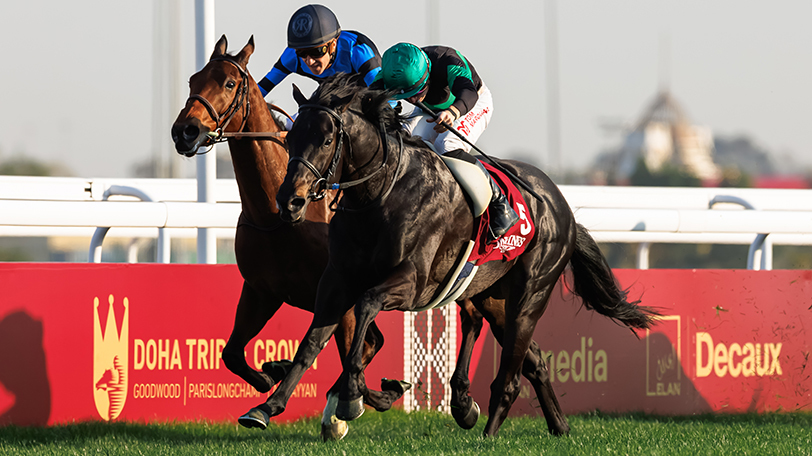 ディープモンスター