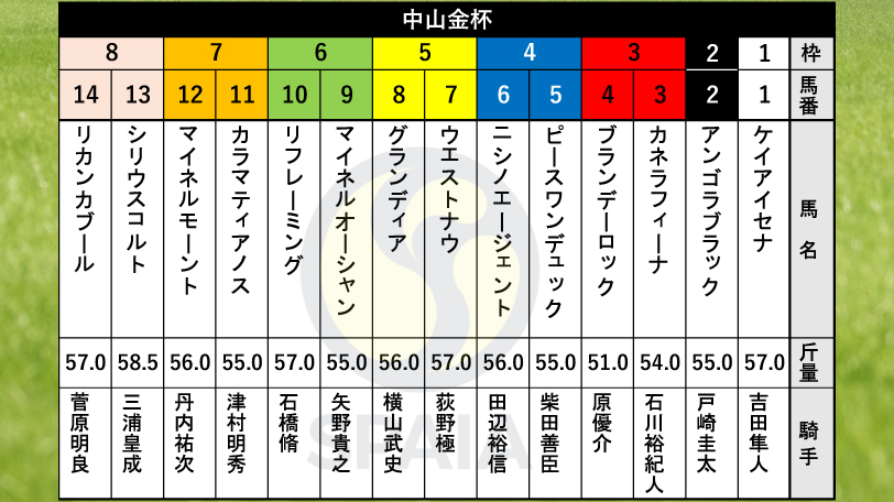 【中山金杯枠順】アイルランドT2着馬アンゴラブラックは2枠2番　京成杯覇者ニシノエージェントは4枠6番