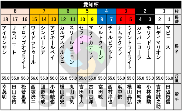 2026年愛知杯の出馬表,ⒸSPAIA