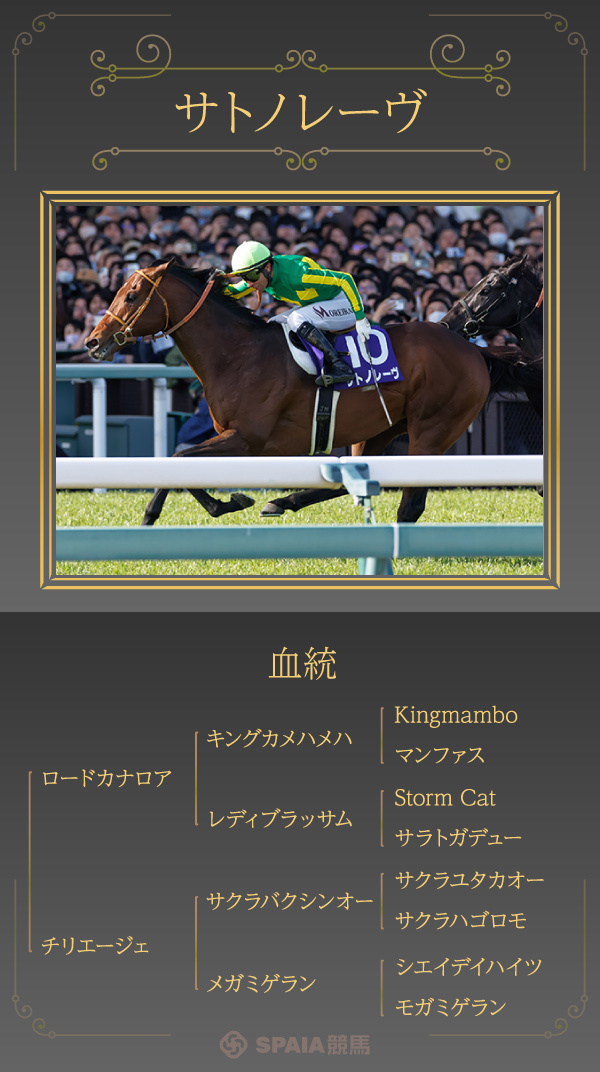 サトノレーヴ,ⒸSPAIA