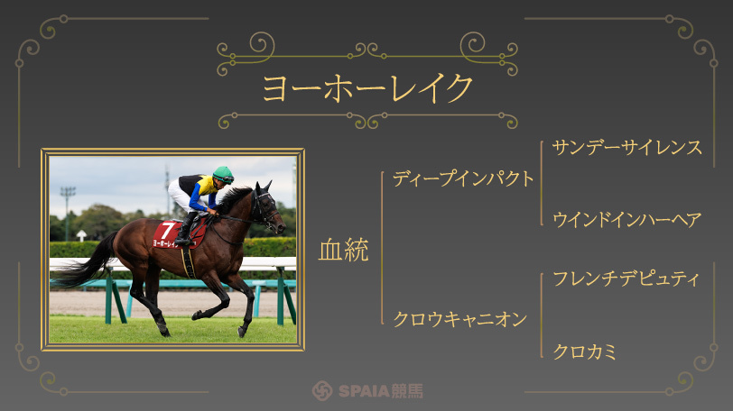 大阪杯の血統注目馬ヨーホーレイク,ⒸSPAIA