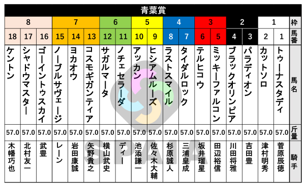 2026年青葉賞の出馬表,ⒸSPAIA