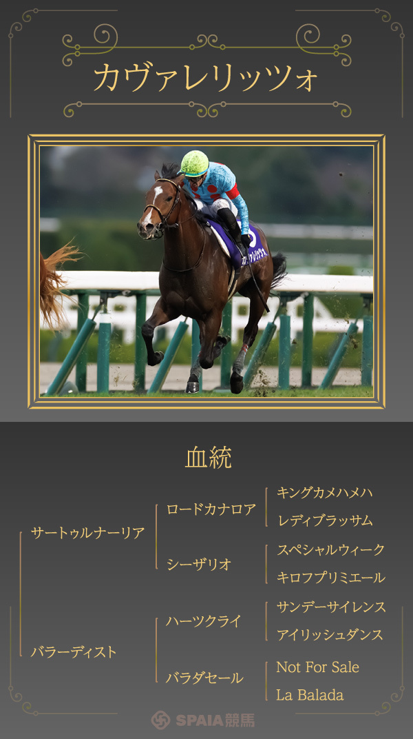 カヴァレリッツォ,ⒸSPAIA