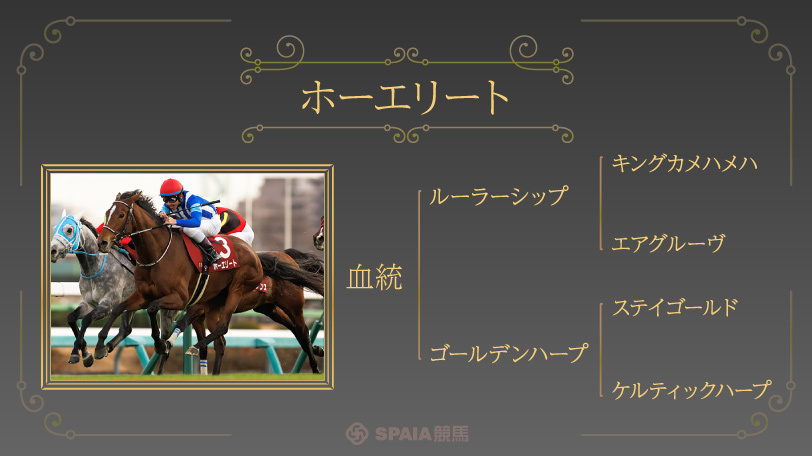 【天皇賞（春）】3連覇かかる「キンカメの孫」に注目　ホーエリートの73年ぶり偉業達成に高まる期待