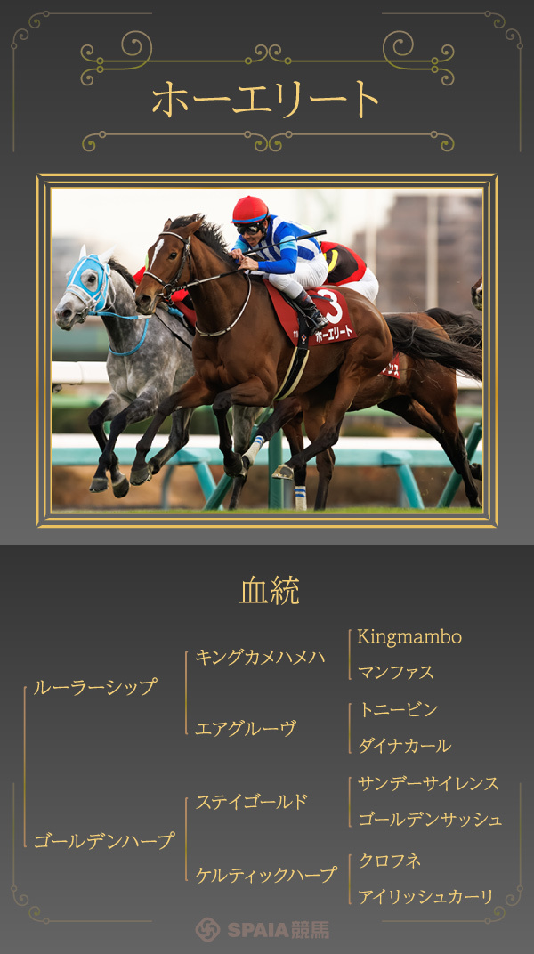 天皇賞（春）の血統注目馬ホーエリート,ⒸSPAIA