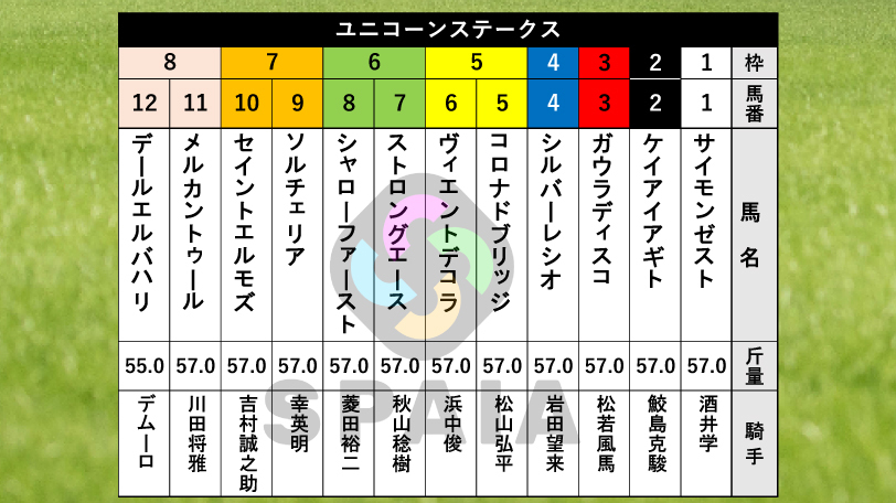 【ユニコーンS枠順】前走1勝クラスで0秒7差勝ちのメルカントゥールは8枠11番　サウジダービー5着馬ケイアイアギトは2枠2番